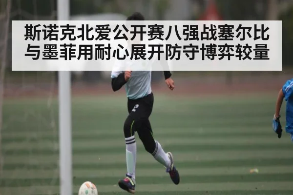 斯诺克北爱公开赛八强战塞尔比与墨菲用耐心展开防守博弈较量